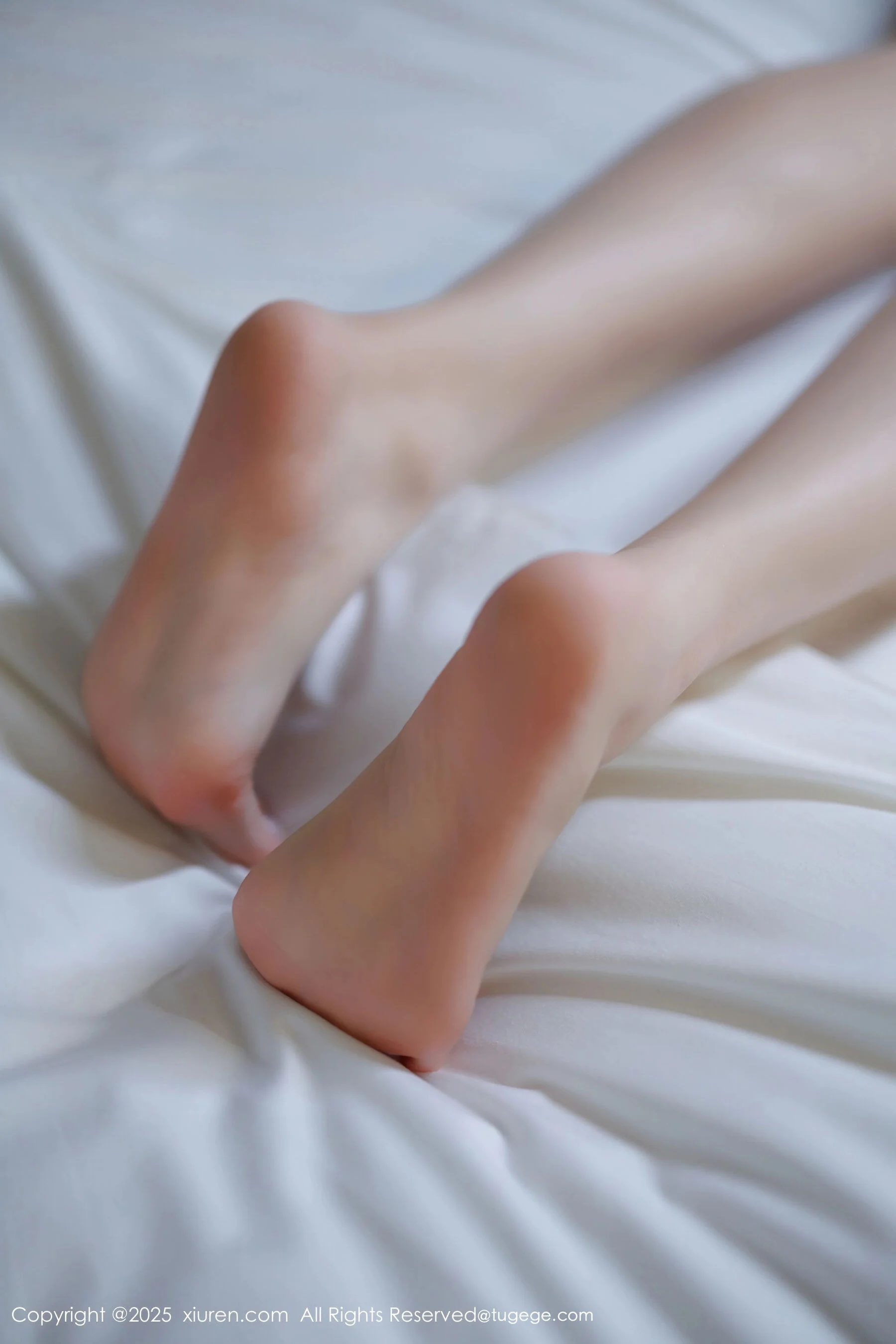 [秀人网] 杨晨晨 Vol. 11035 82P 第63张（杨晨晨）