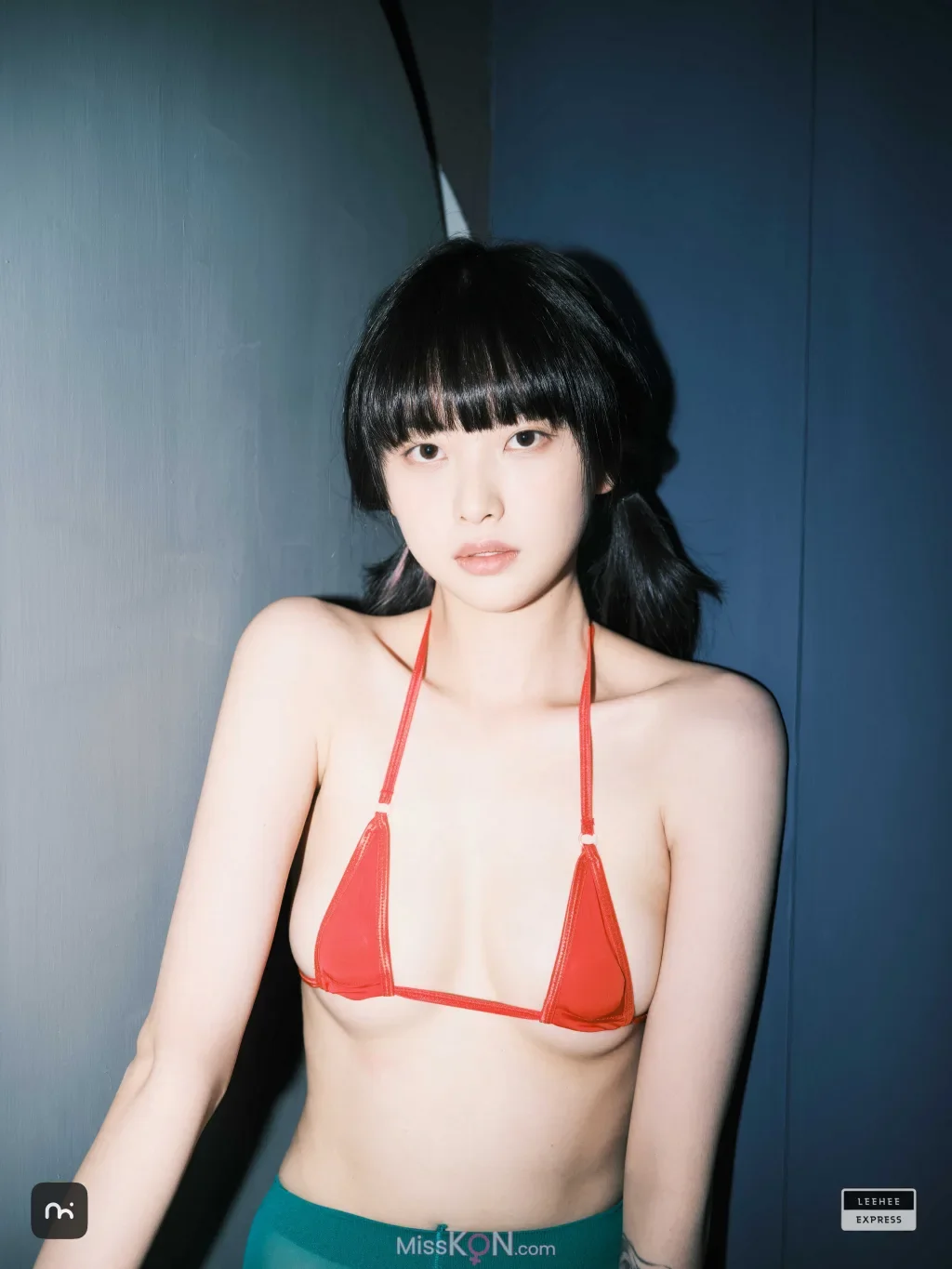 [LE] LEDG-195C DG-195C: GMS 54P 第41张（GMS）
