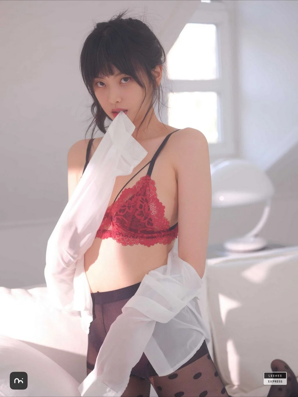 [LE] LEDG-254A DG-254A: GMS 65P 第12张（LEDG-254A）