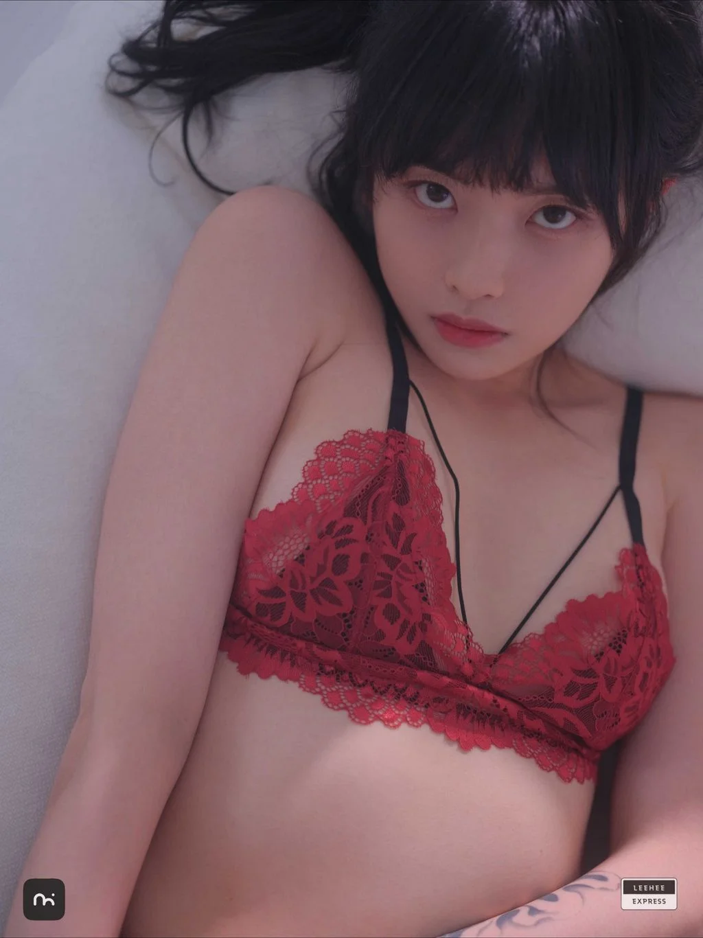[LE] LEDG-254A DG-254A: GMS 65P 第7张（LEDG-254A）