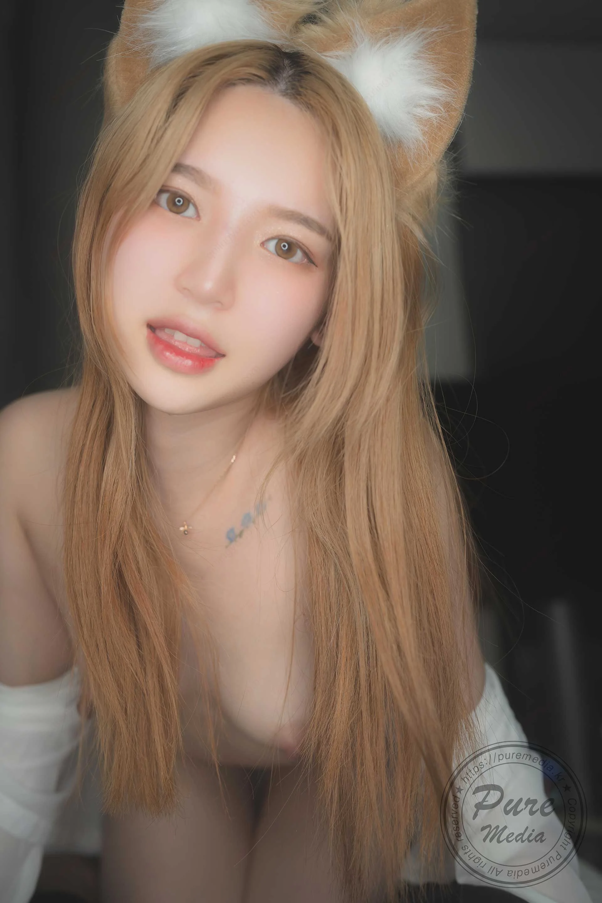 Pure Media Vol.260 Yeha (예하) Stick my tail in the hole 167P 第74张（Yeha (예하) Stick my tail in the hole）